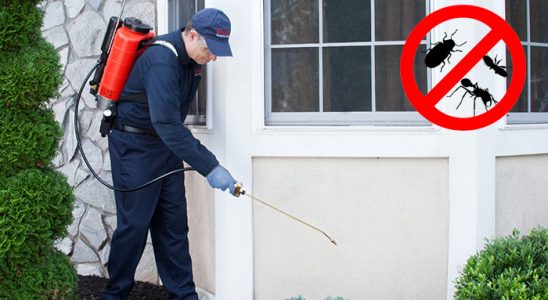 Baklan Böcek İlaçlama böcek ilaçlama ve haşere kontrolü — ilaclama-tr.com